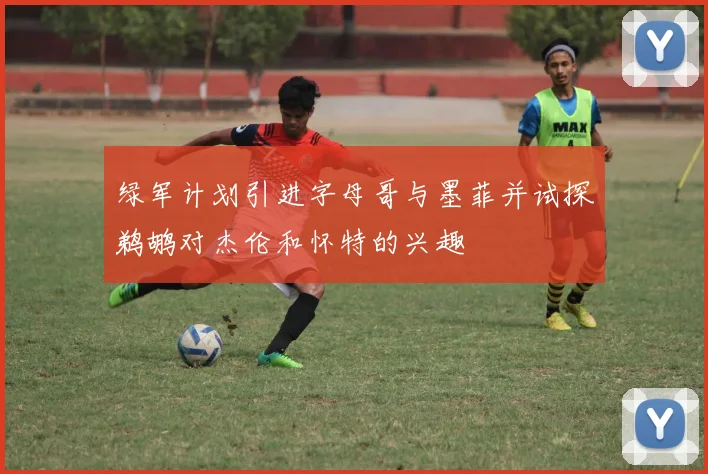 绿军计划引进字母哥与墨菲并试探鹈鹕对杰伦和怀特的兴趣